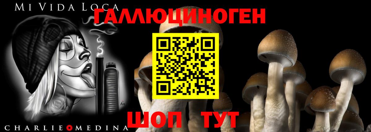 Псилоцибиновые грибы ЛСД Сарапул